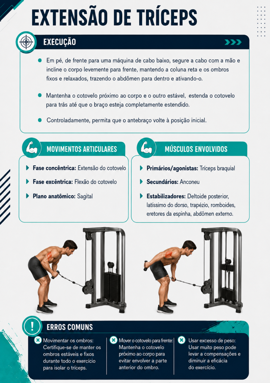 2extensaodetriceps
