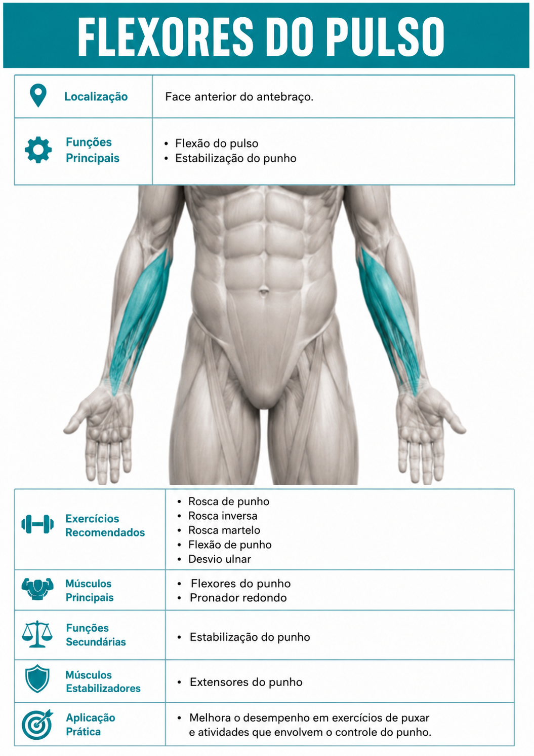 2flexoresdopulso